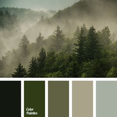 a forest filled with lots of trees and fog in the sky, surrounded by color swatches