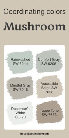 Mushroom SW 9587 by Sherwin Williams - Coordinating Colors Palladian Blue, Mindful Gray, Best White Paint, Repose Gray, Agreeable Gray, Comfort Gray, Sherwin Williams Paint Colors