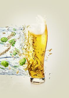 a beer is being poured into a glass with water splashing around it and green hops in the foreground