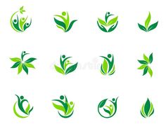 green leaves and symbols on white background