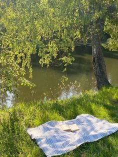 an open book is laying on a blanket by the water's edge, next to a tree