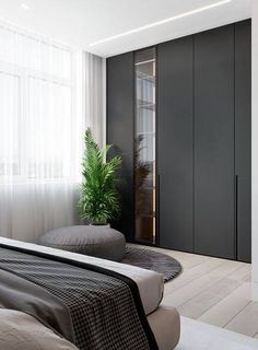 a modern bedroom with black and white decor, large bed and plant in the corner