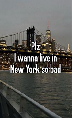 i wanna live in new york so bad that's the brooklyn bridge behind it