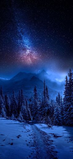 the night sky is filled with stars and clouds, as well as snow covered trees