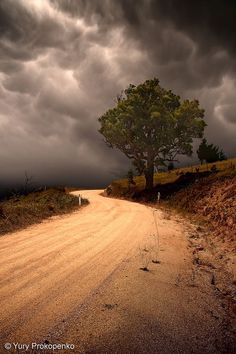 a dirt road with a tree on the side and dark clouds in the sky above