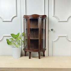 a potted plant sitting on top of a wooden table next to a glass cabinet