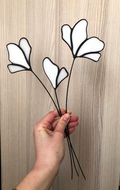 a hand is holding up some white flowers