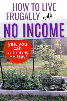 a garden with the words how to live frugally with no income