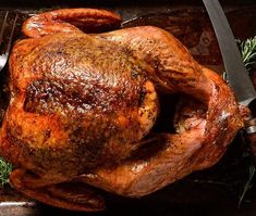 a roasted turkey with herbs and knife on a baking sheet