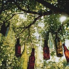 several empty glass bottles hanging from a tree