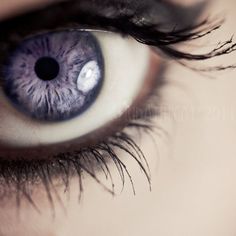 Violet eye photo, breathtaking! Ashara Dayne, Photos Of Eyes, Neil Gaiman, Barbara Palvin