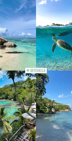 four different pictures of the ocean and beach with palm trees, rocks, and water