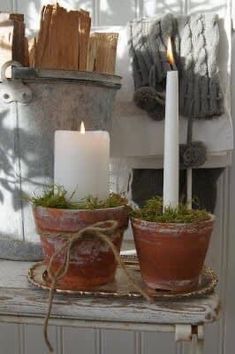 two potted plants with candles sitting on a table