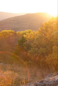 the sun shines brightly on trees and hills