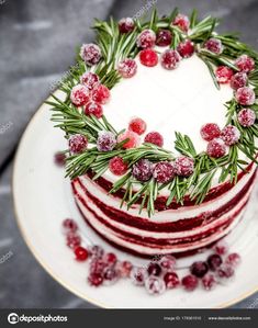 a christmas cake decorated with cranberries and greenery on a plate stock photo