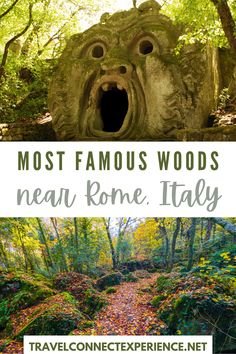 the most famous places in italy with text overlay that reads most famous woods near rome italy