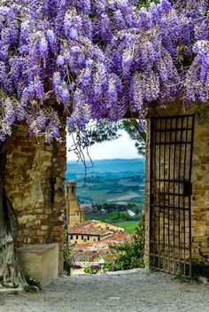 an open door with purple flowers growing on it's side and the countryside in the background