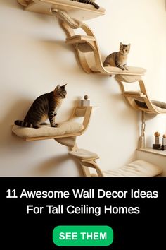 two cats sitting on top of cat furniture in a living room with the caption 11 awesome wall decor ideas for tall ceilings see them