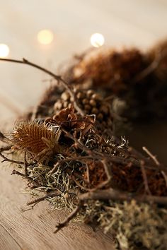 a close up of a bunch of plants on a wooden surface with lights in the background