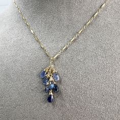 Shades of blue Sapphires in an ombre effect, dangle from a center waterfall pendant. Each Sapphire is hand wired to gold filled chain. The Sapphire waterfall pendant measures 1 1/4" long and dangles from a beautiful bar & link gold filled necklace. The necklace is finished off with gold filled chain, lobster clasp & components. Necklace is adjustable from 16-18". Blue Dangle Charm Necklace With Lobster Clasp, Blue Dangle Charm Necklaces With Lobster Clasp, 14k Gold Filled Dangle Charm Necklaces, 14k Gold Filled Dangle Necklaces With Charms, Blue Pendant Necklace With Dangling Charms, Blue Pendant Necklaces With Dangling Charms, Handmade Blue Necklace With Long Drop, Handmade Blue Long Drop Necklace, Handmade Blue Necklaces With Long Drop Shape