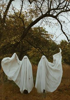 two ghost like figures are standing in the grass