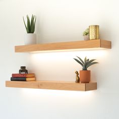 two wooden shelves with plants and books on them