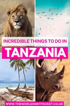 the incredible things to do in tanzania