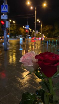 a red rose sitting on the side of a wet road at night with street lights in the background