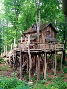 a tree house built into the side of a forest