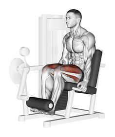 a man sitting in a chair with the leg extension highlighted