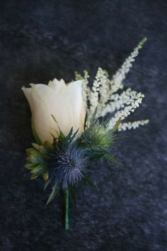 a single white rose with green leaves on a black surface and some other flowers in the background