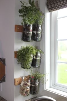 several jars with plants in them are hanging on the wall next to a sink and window