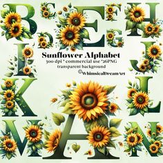 the sunflower alphabet is made up of letters and flowers