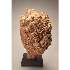 a piece of art that looks like corals on a wooden stand with white background