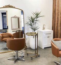 a salon with chairs, mirrors and a potted plant