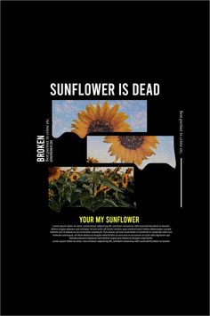 the sunflower is dead album cover