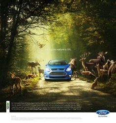 a blue car driving down a forest road with deer on both sides and trees in the background