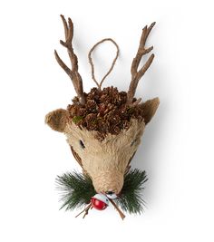 a deer head with pine cones on it's antlers