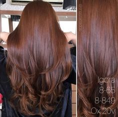 Chocolate Copper Hair Formula, Igora Hair Color, Red Hair Inspo, Brown Hair Looks, Hair Color Formulas, Chocolate Hair, Ginger Hair Color, Gorgeous Hair Color