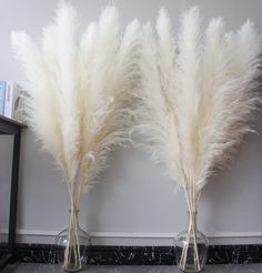 PRICES MAY VARY. Pampas Grass Decor Tall: Dried flower bouquet has 10 pcs large pampas grass, pampas grass decor tall has been carefully screened， The length of every pampas grass is 46 inches, the color of the tall pampas grass is beige, dried pampas grass is naturally fluffy, beautiful and elegant Boho Decor: Tall pampas have a boho style and are suitable for boho flowers, event decors, boho wall decor , boho wedding decor, boho party decorations, boho bathroom decor，boho table decor, and boho White Pampas Grass Decor, Floor Vases Decor, Dried Flowers For Wedding, Boho Bridal Shower Decorations, White Pampas, Boho Party Decorations, Floor Vases, Boho Bathroom Decor, Grass Decor