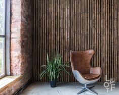 a chair and potted plant in front of a bamboo wall