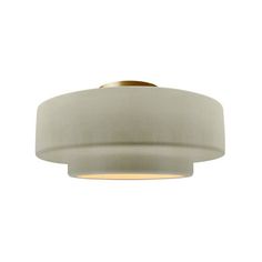 an image of a light fixture on a white background