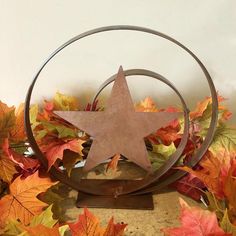 a metal star sitting on top of a circular object surrounded by leaves and other autumn foliage