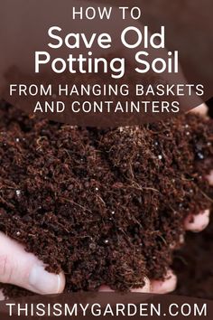 An up close photo of someone holding potting soil in their hands. Photo from thisismygarden.com How To Pot A Plant, Potting Plants For Beginners, Potting Soil Storage, Garden Soil Mix, Growing Cilantro, Potted Garden, Plant Containers, Garden Remedies, Garden Growing