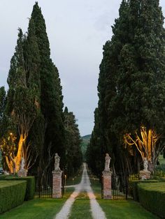 an image of a road going through the park at night with trees and statues on either side