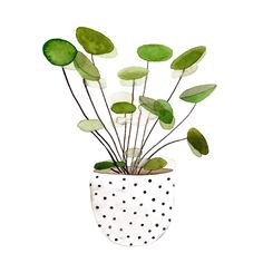 Plant in a Pot II Poster Print - Melissa Wang-VARPDX162174Z Image 1 Plant In A Pot, 수채화 그림, Art Plastique, Big Canvas Art, Art Sur Toile, Red Barrel Studio, Art Materials, Canvas Artwork, Frames On Wall