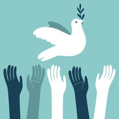 several hands reaching up toward a white bird