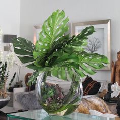 a glass table topped with a vase filled with plants