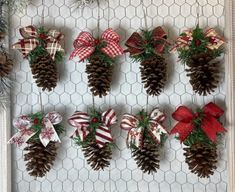 pine cones and bows are hung on the wall