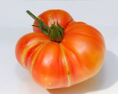 Texas Star    |  Color: Bi-color    |  Shape/Size: Round, large    |  DTM: 85    |  Description: Excellent bi-color beefsteak Tomato Harvest, Texas Star, Healthy Garden, Creative Gardening, Organic Gardening Tips